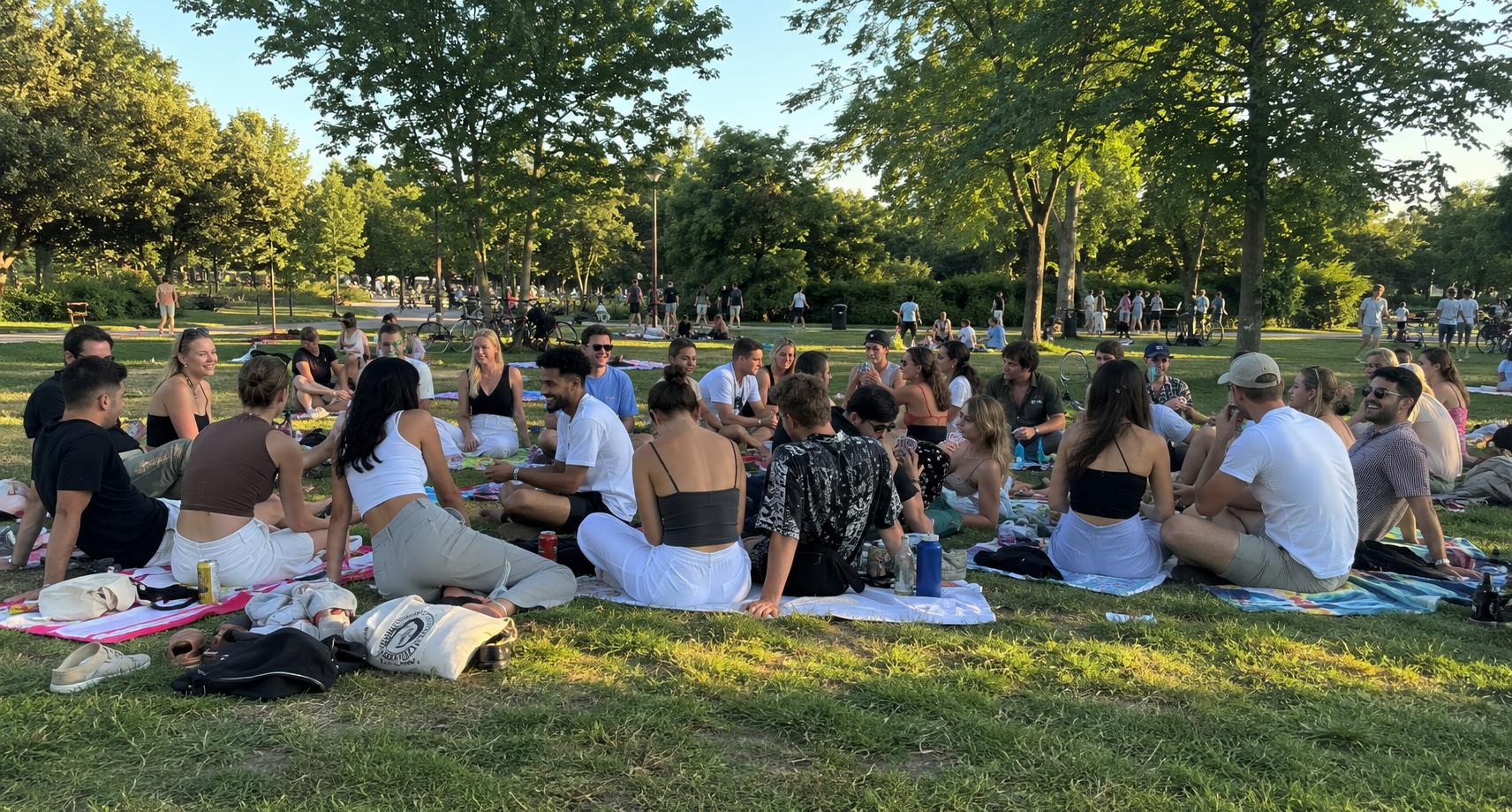 justmoved picnic in a Berlin park